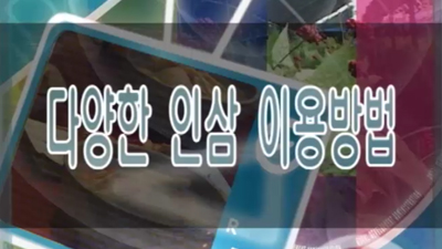 다양한 인삼 이용방법