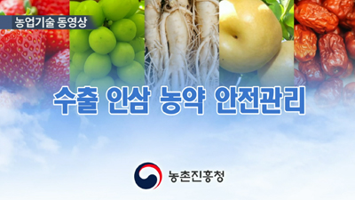 수출 인삼 농약 안전관리