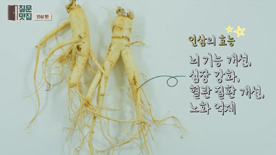 인삼의 효능과 종류, 다양한 연구성과까지! 전문가가 알려주는 인삼이야기